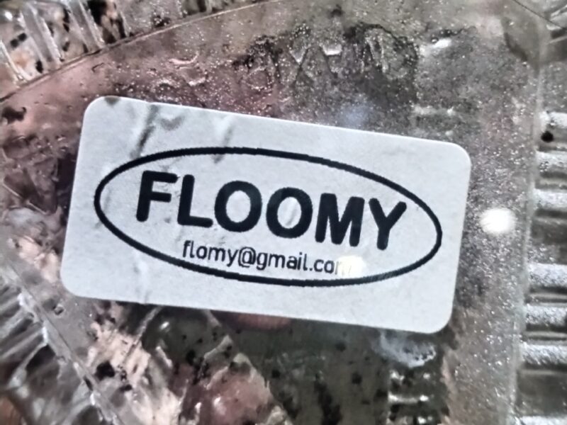 Floomy